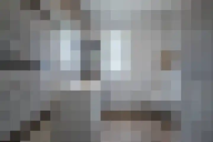 Herfsttooi 34 Arnhem thumbnail 4