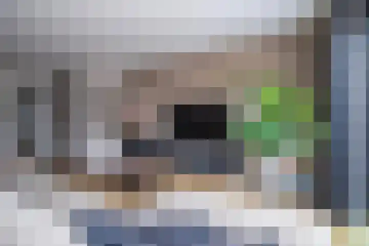 Herfsttooi 34 Arnhem thumbnail 8