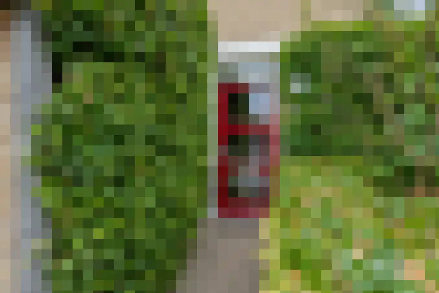 Herfsttuin 1 Barneveld thumbnail 4