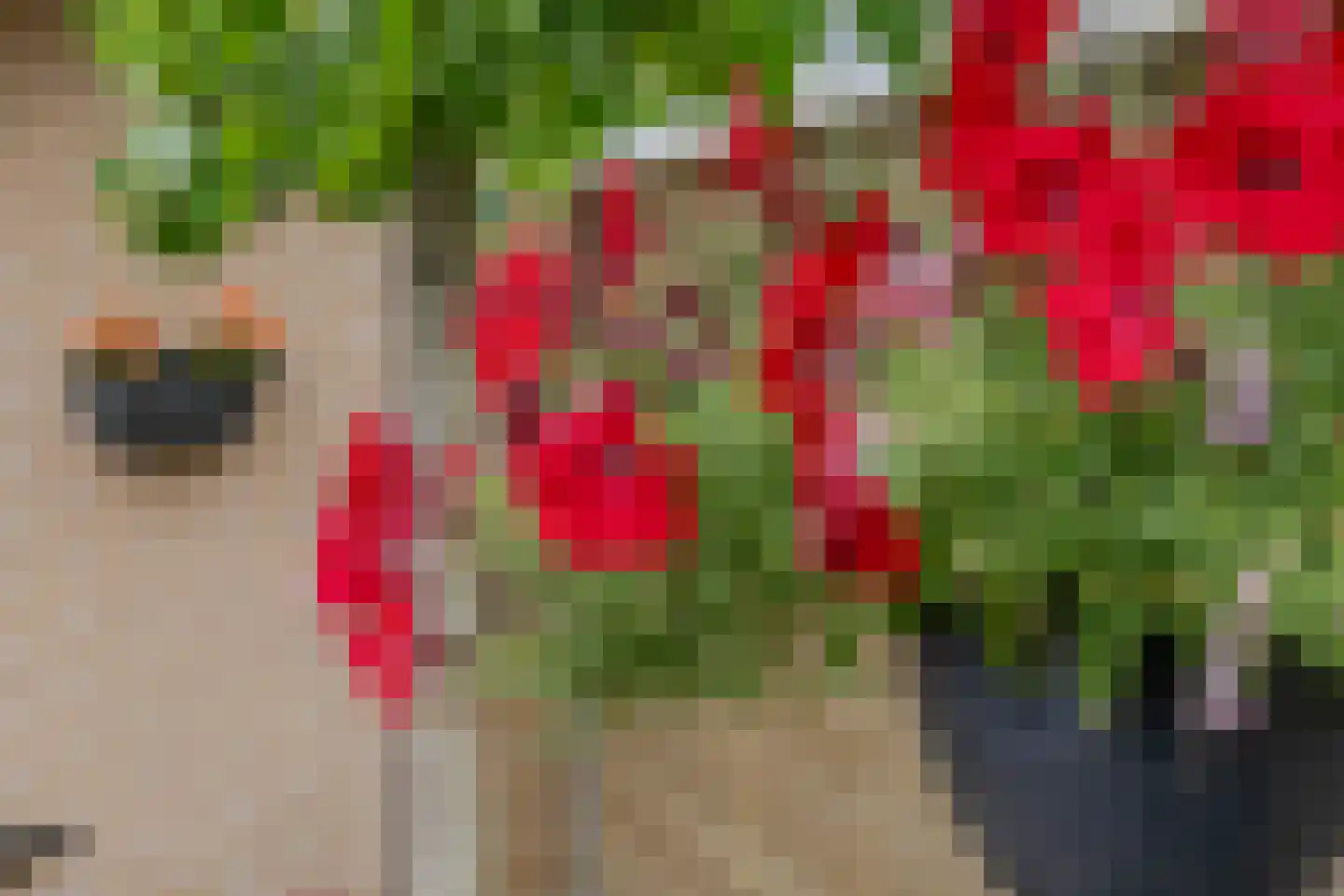 Herfsttuin 1 Barneveld thumbnail 46