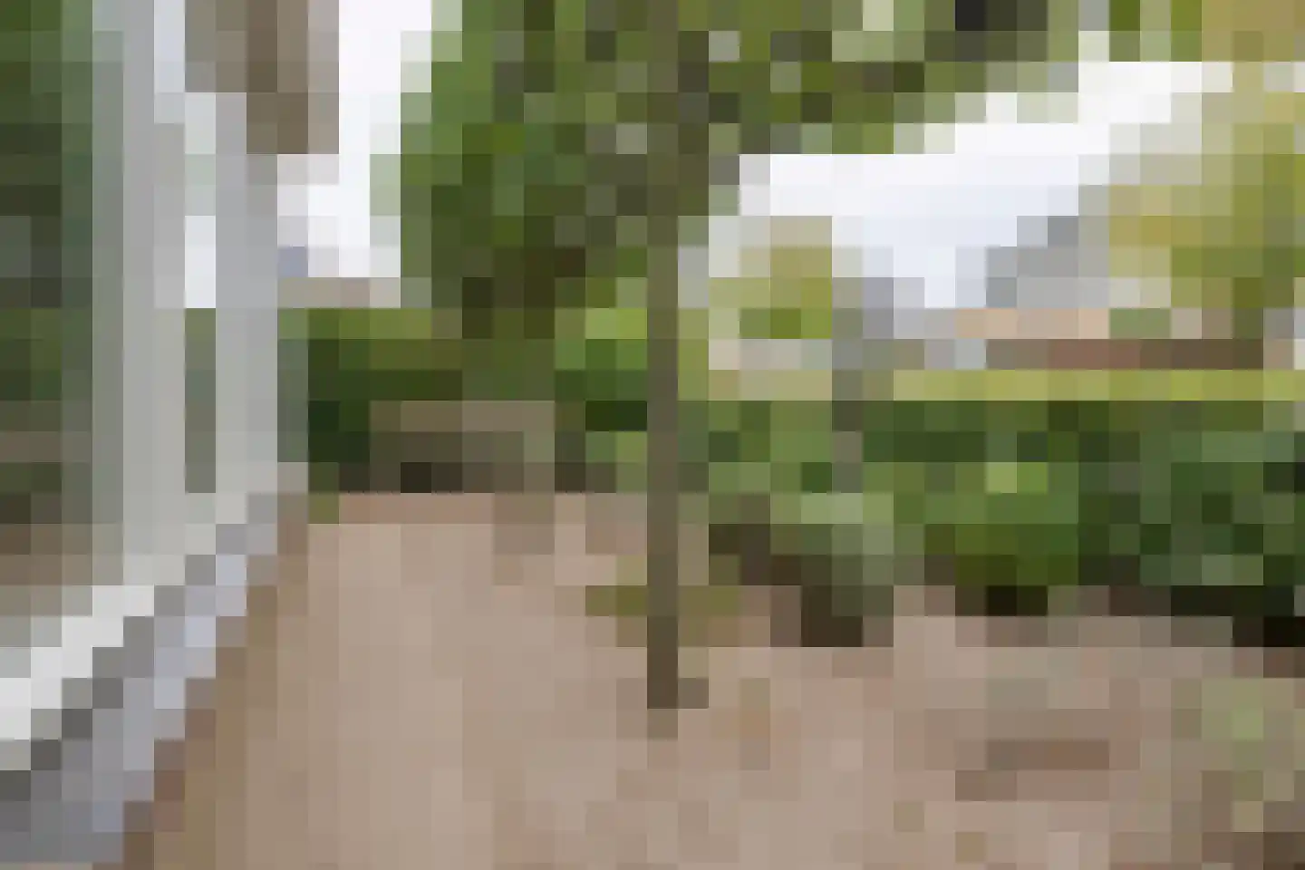 Herfsttuin 1 Barneveld thumbnail 53