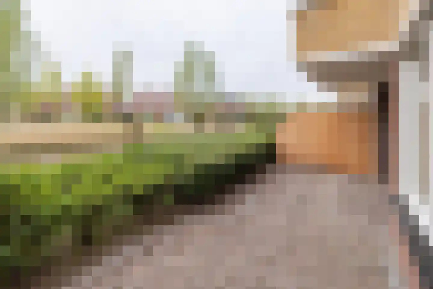 Herfsttuin 20 Barneveld thumbnail 27