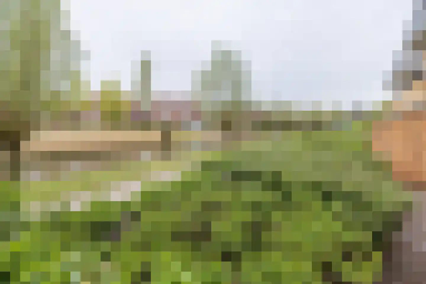 Herfsttuin 20 Barneveld thumbnail 30