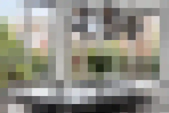 Herfsttuin 41 Barneveld thumbnail 21