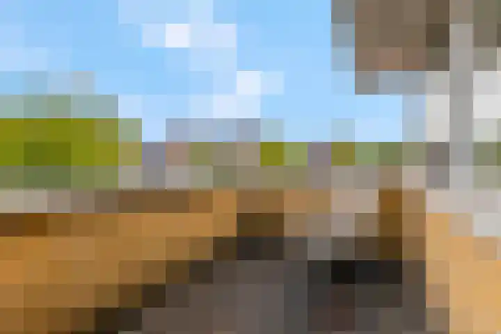 Herfsttuin 8 Barneveld thumbnail 31