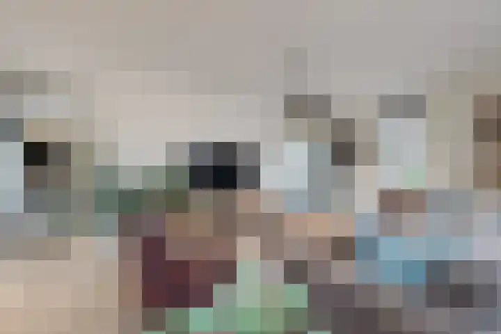 Herfstvlinder 10 Standdaarbuiten thumbnail 14