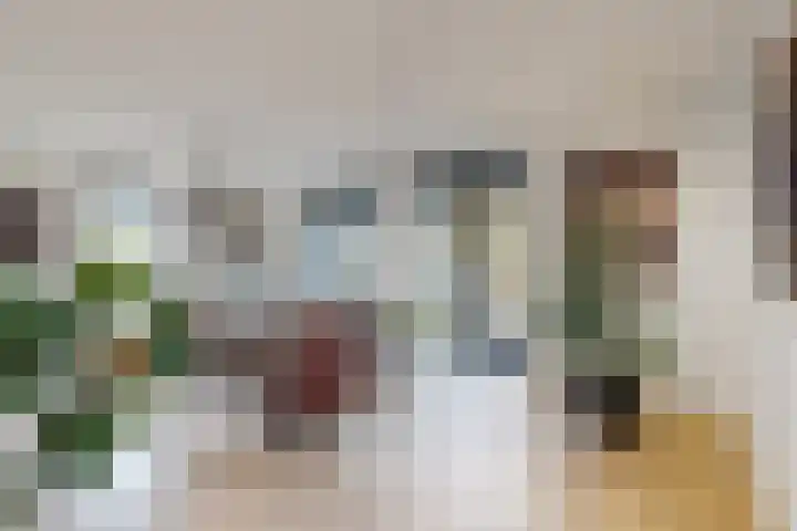 Herfstvlinder 10 Standdaarbuiten thumbnail 15