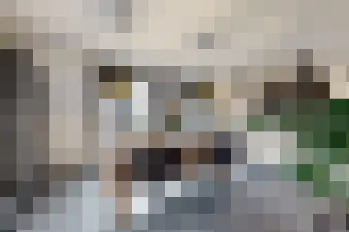 Herfstvlinder 10 Standdaarbuiten thumbnail 19