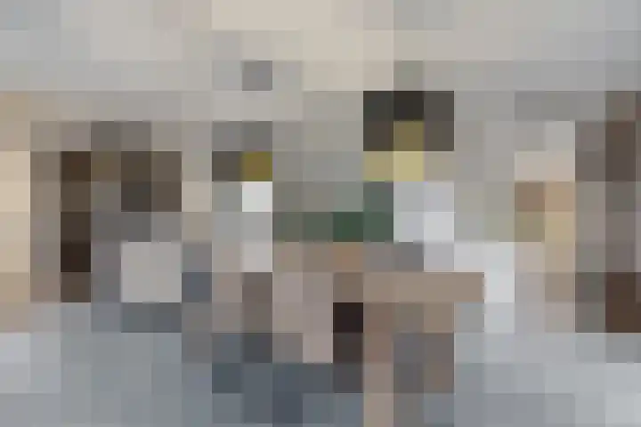 Herfstvlinder 10 Standdaarbuiten thumbnail 20