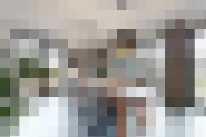 Herfstvlinder 10 Standdaarbuiten thumbnail 21