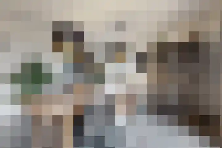 Herfstvlinder 10 Standdaarbuiten thumbnail 22