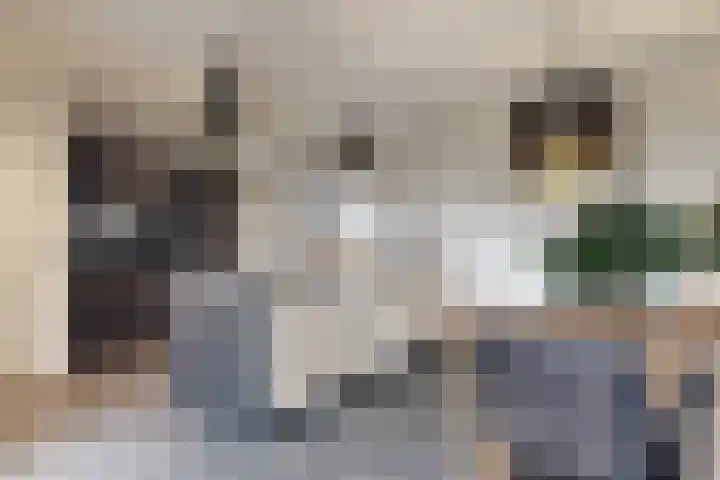 Herfstvlinder 10 Standdaarbuiten thumbnail 23