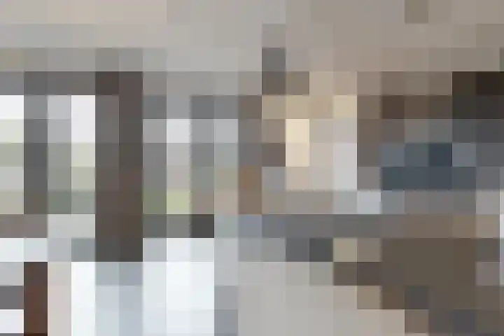 Herfstvlinder 10 Standdaarbuiten thumbnail 25