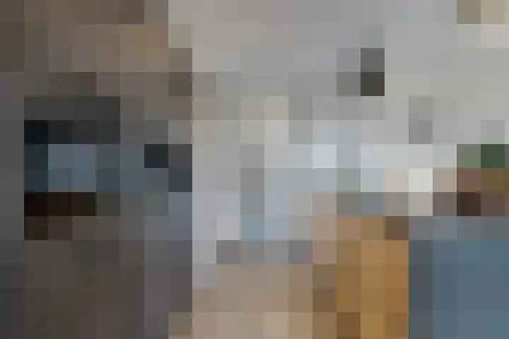 Herfstvlinder 10 Standdaarbuiten thumbnail 26