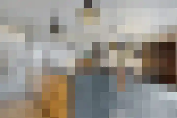 Herfstvlinder 10 Standdaarbuiten thumbnail 27