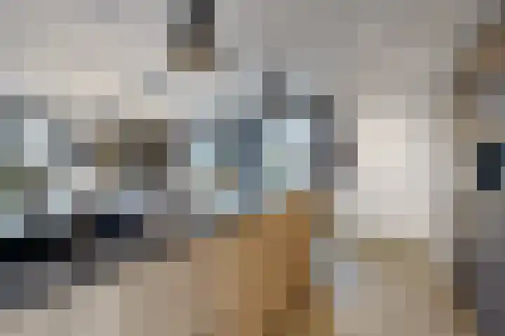 Herfstvlinder 10 Standdaarbuiten thumbnail 28