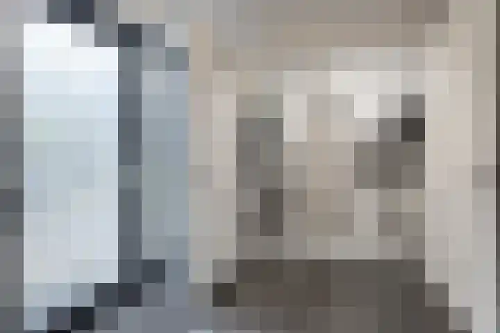 Herfstvlinder 10 Standdaarbuiten thumbnail 32