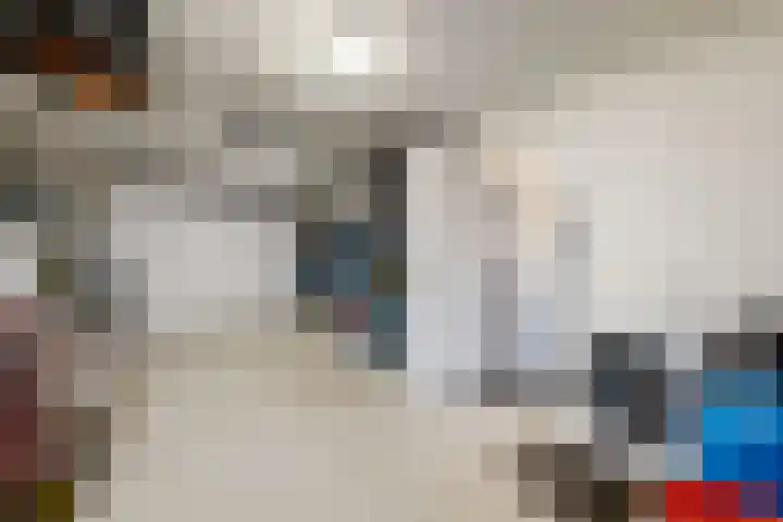 Herfstvlinder 10 Standdaarbuiten thumbnail 34