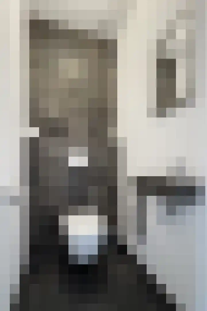 Herfstvlinder 10 Standdaarbuiten thumbnail 37