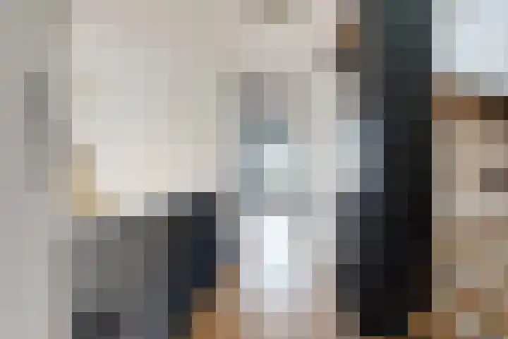 Herfstvlinder 10 Standdaarbuiten thumbnail 38