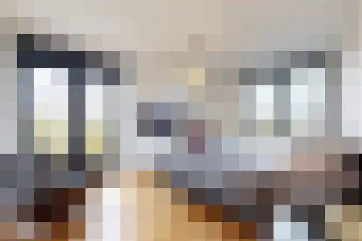 Herfstvlinder 10 Standdaarbuiten thumbnail 4