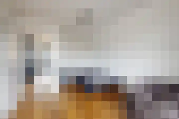Herfstvlinder 10 Standdaarbuiten thumbnail 42