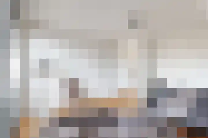 Herfstvlinder 10 Standdaarbuiten thumbnail 43