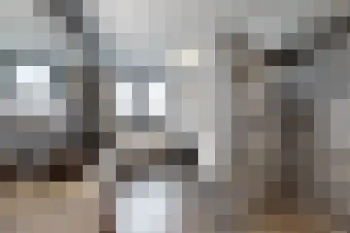 Herfstvlinder 10 Standdaarbuiten thumbnail 5
