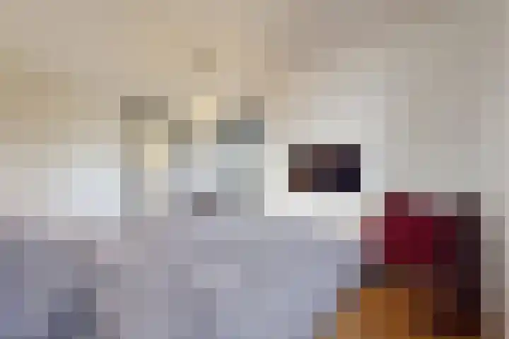 Herfstvlinder 10 Standdaarbuiten thumbnail 50