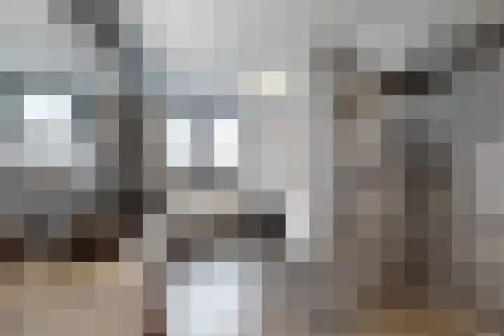 Herfstvlinder 10 Standdaarbuiten thumbnail 52