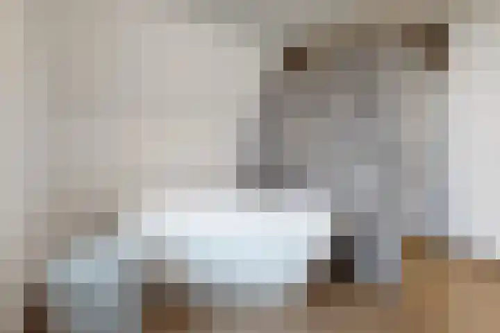Herfstvlinder 10 Standdaarbuiten thumbnail 54