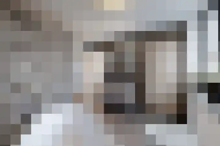 Herfstvlinder 10 Standdaarbuiten thumbnail 55