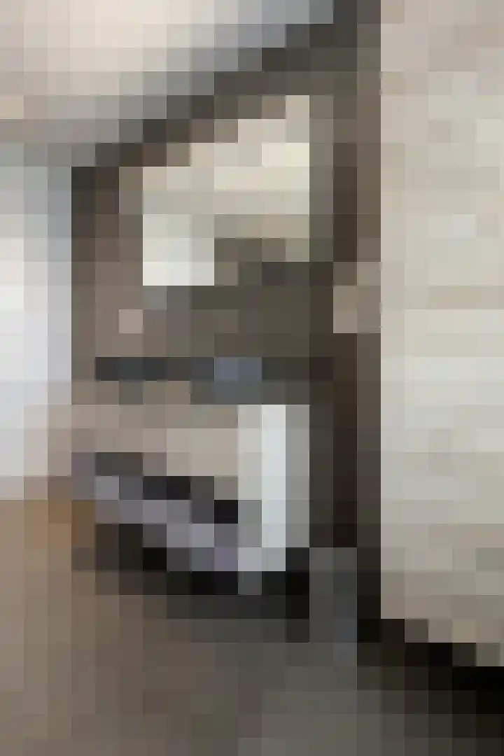 Herfstvlinder 10 Standdaarbuiten thumbnail 56