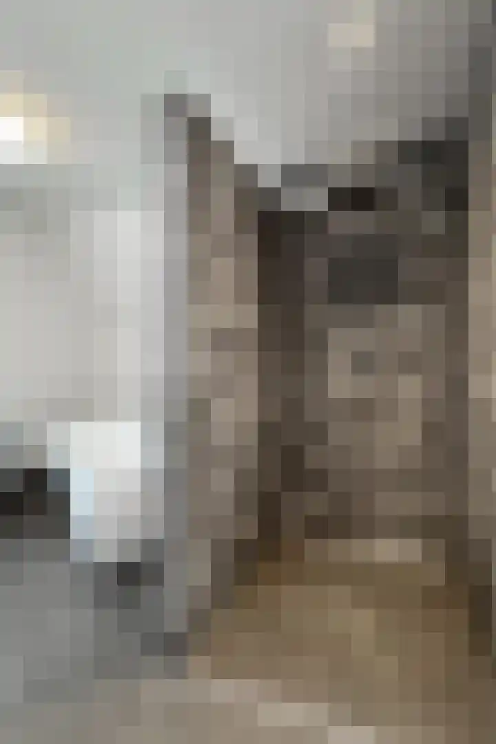 Herfstvlinder 10 Standdaarbuiten thumbnail 57