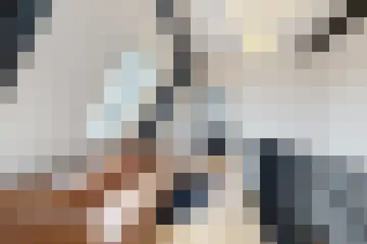 Herfstvlinder 10 Standdaarbuiten thumbnail 59