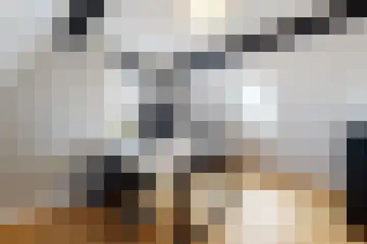 Herfstvlinder 10 Standdaarbuiten thumbnail 60