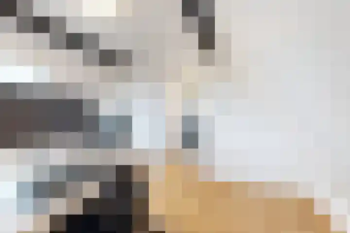 Herfstvlinder 10 Standdaarbuiten thumbnail 61