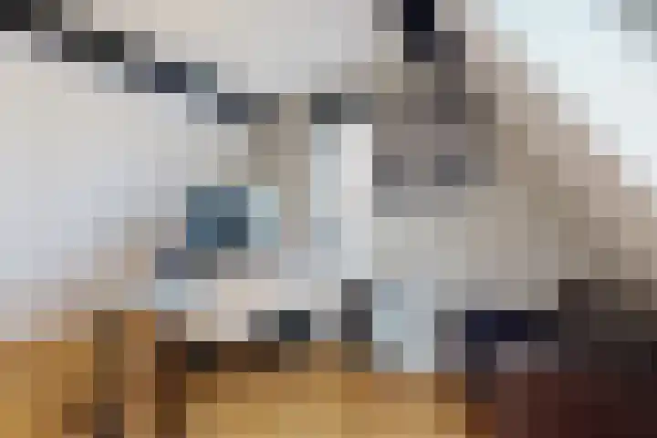 Herfstvlinder 10 Standdaarbuiten thumbnail 62