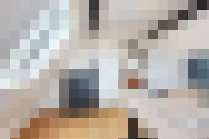 Herfstvlinder 10 Standdaarbuiten thumbnail 63