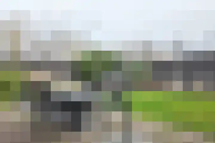 Herfstvlinder 10 Standdaarbuiten thumbnail 66