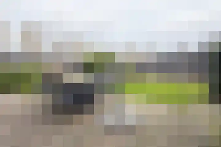 Herfstvlinder 10 Standdaarbuiten thumbnail 67