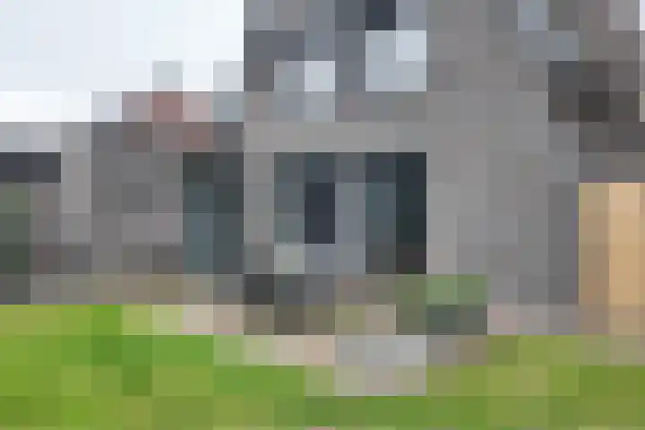 Herfstvlinder 10 Standdaarbuiten thumbnail 68