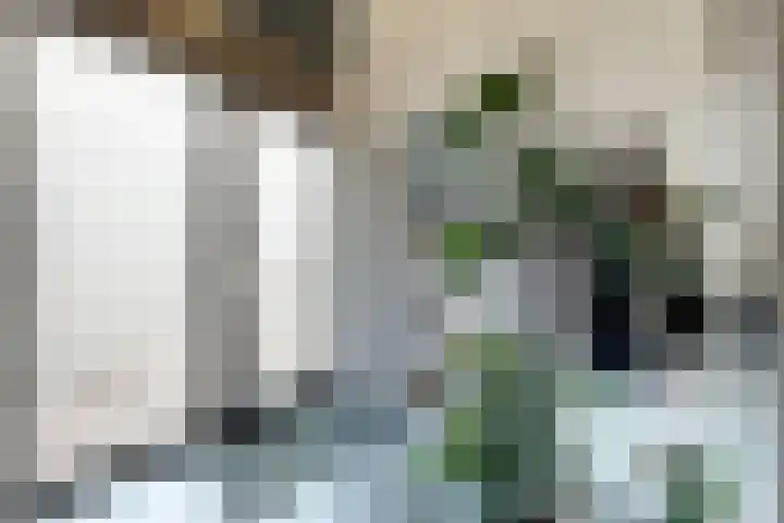 Herfstvlinder 10 Standdaarbuiten thumbnail 7
