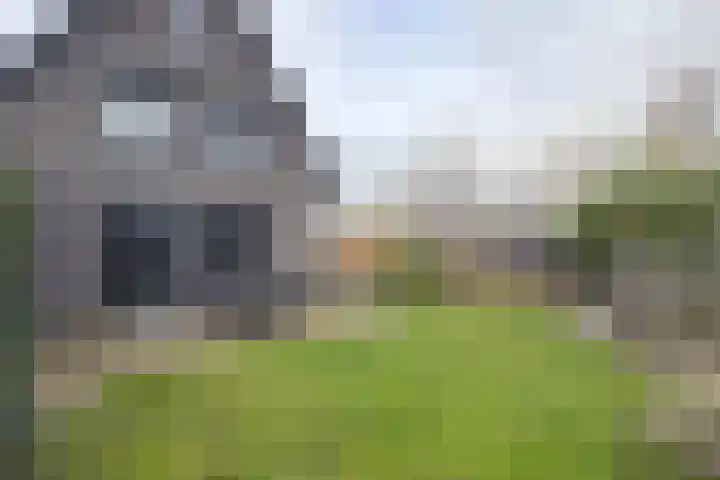Herfstvlinder 10 Standdaarbuiten thumbnail 70