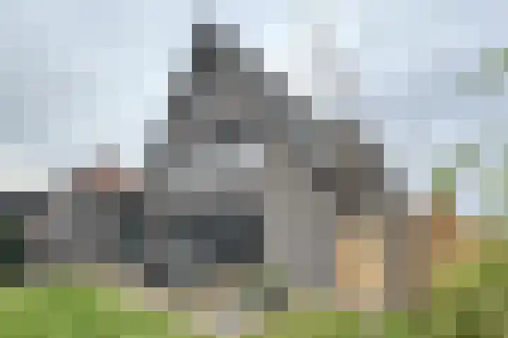 Herfstvlinder 10 Standdaarbuiten thumbnail 71