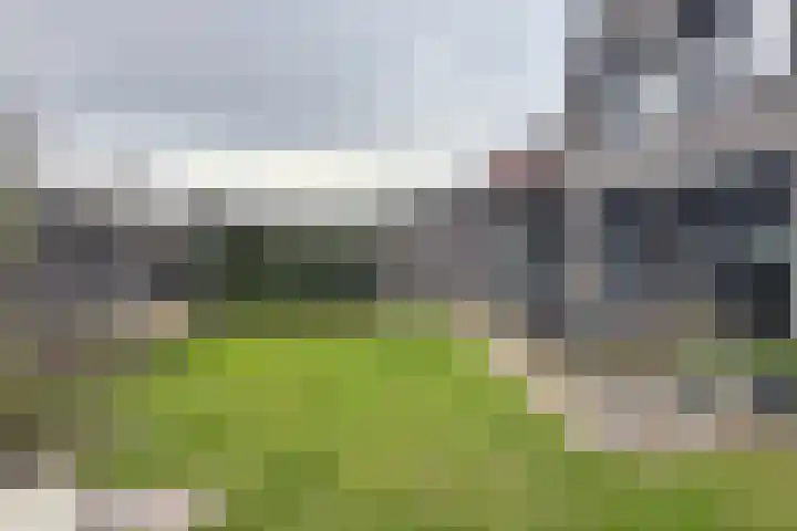 Herfstvlinder 10 Standdaarbuiten thumbnail 72
