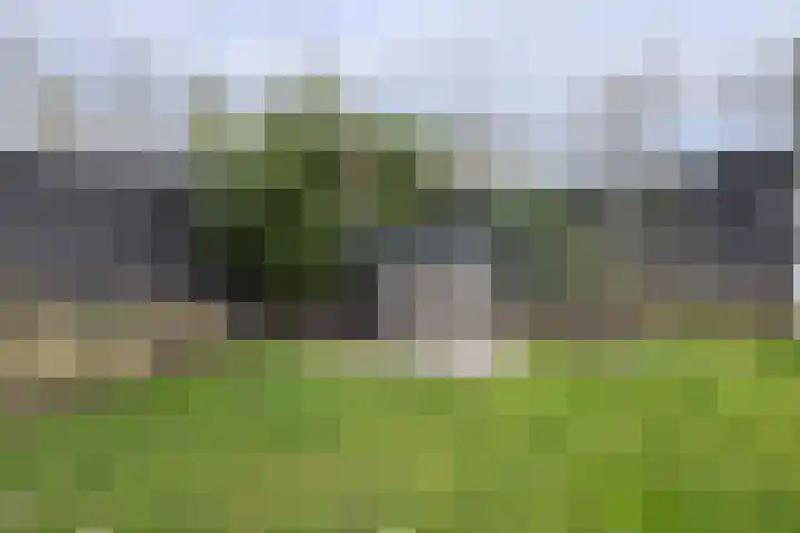 Herfstvlinder 10 Standdaarbuiten thumbnail 73