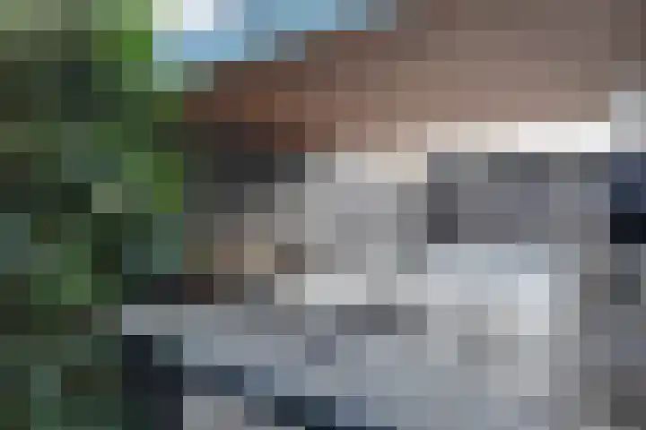 Herfstvlinder 10 Standdaarbuiten thumbnail 74