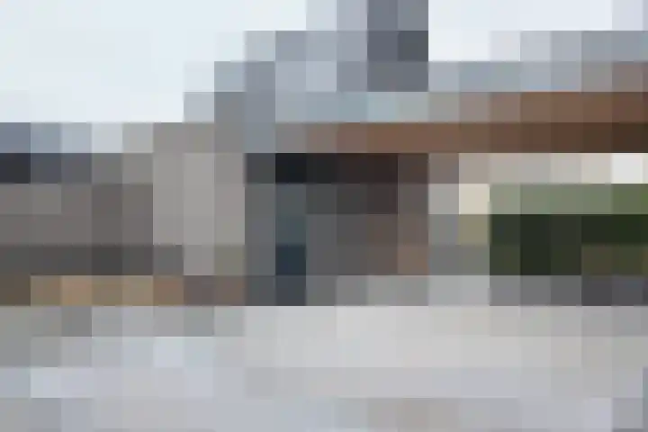 Herfstvlinder 10 Standdaarbuiten thumbnail 76