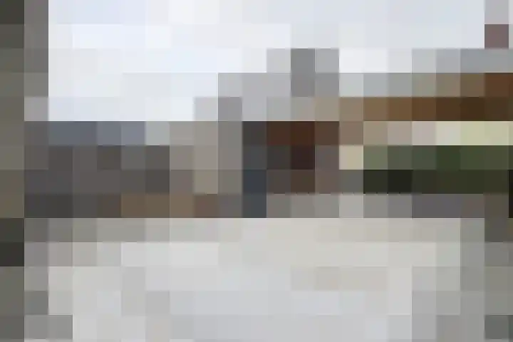 Herfstvlinder 10 Standdaarbuiten thumbnail 77